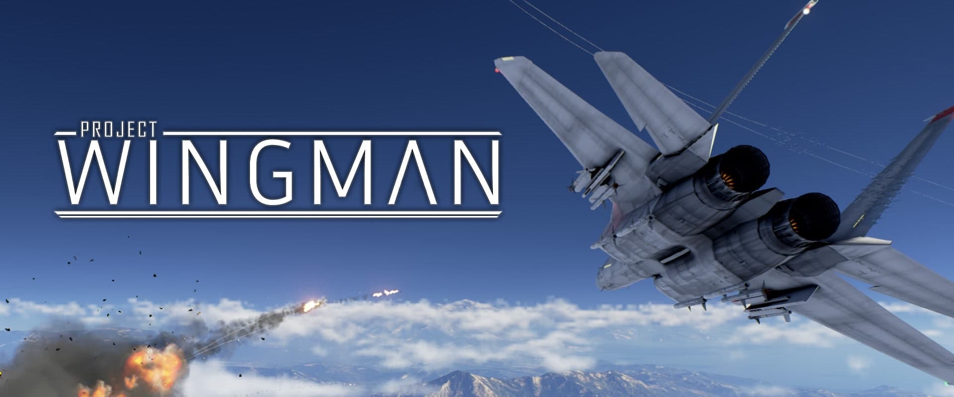 Project Wingman