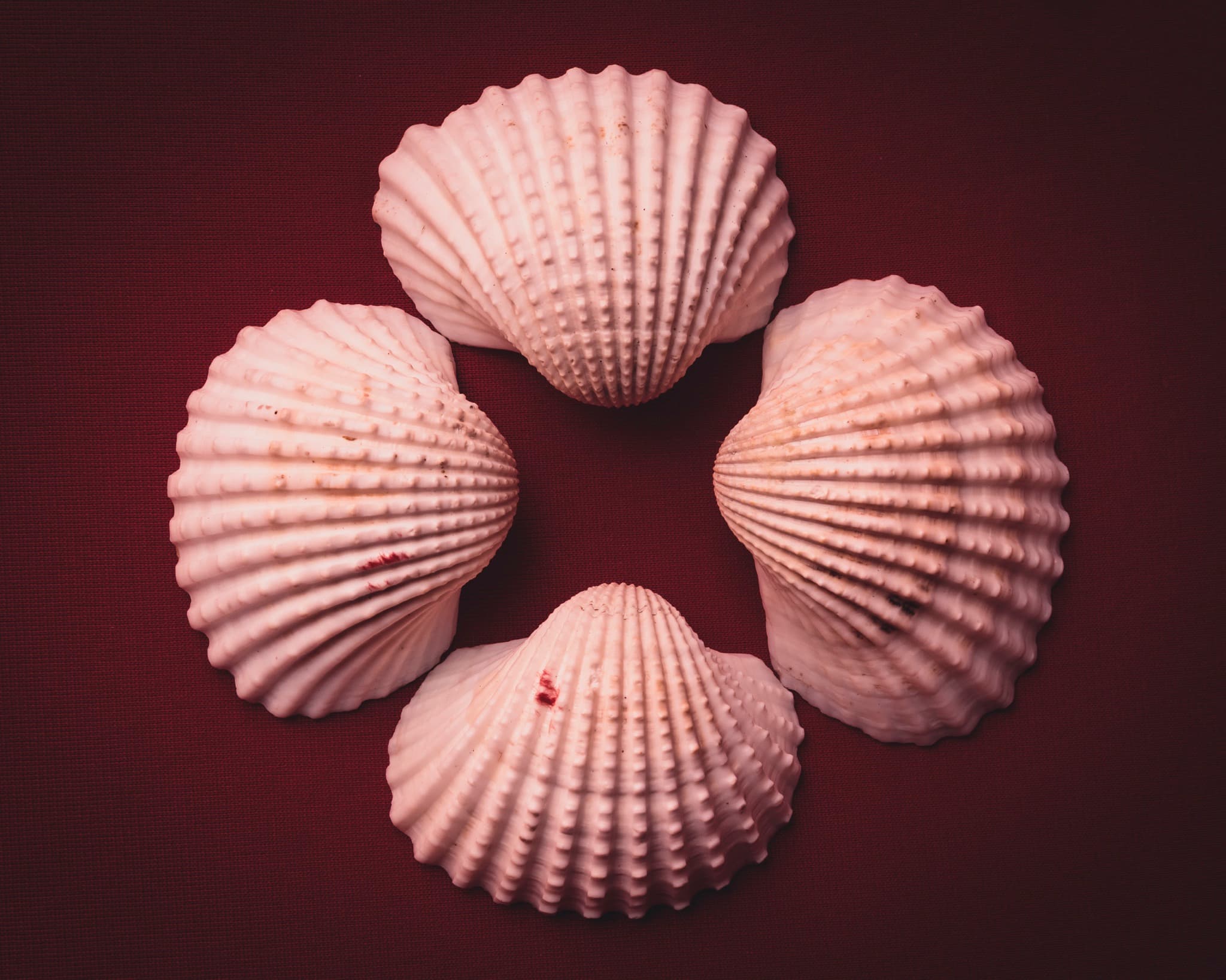 SHELLS