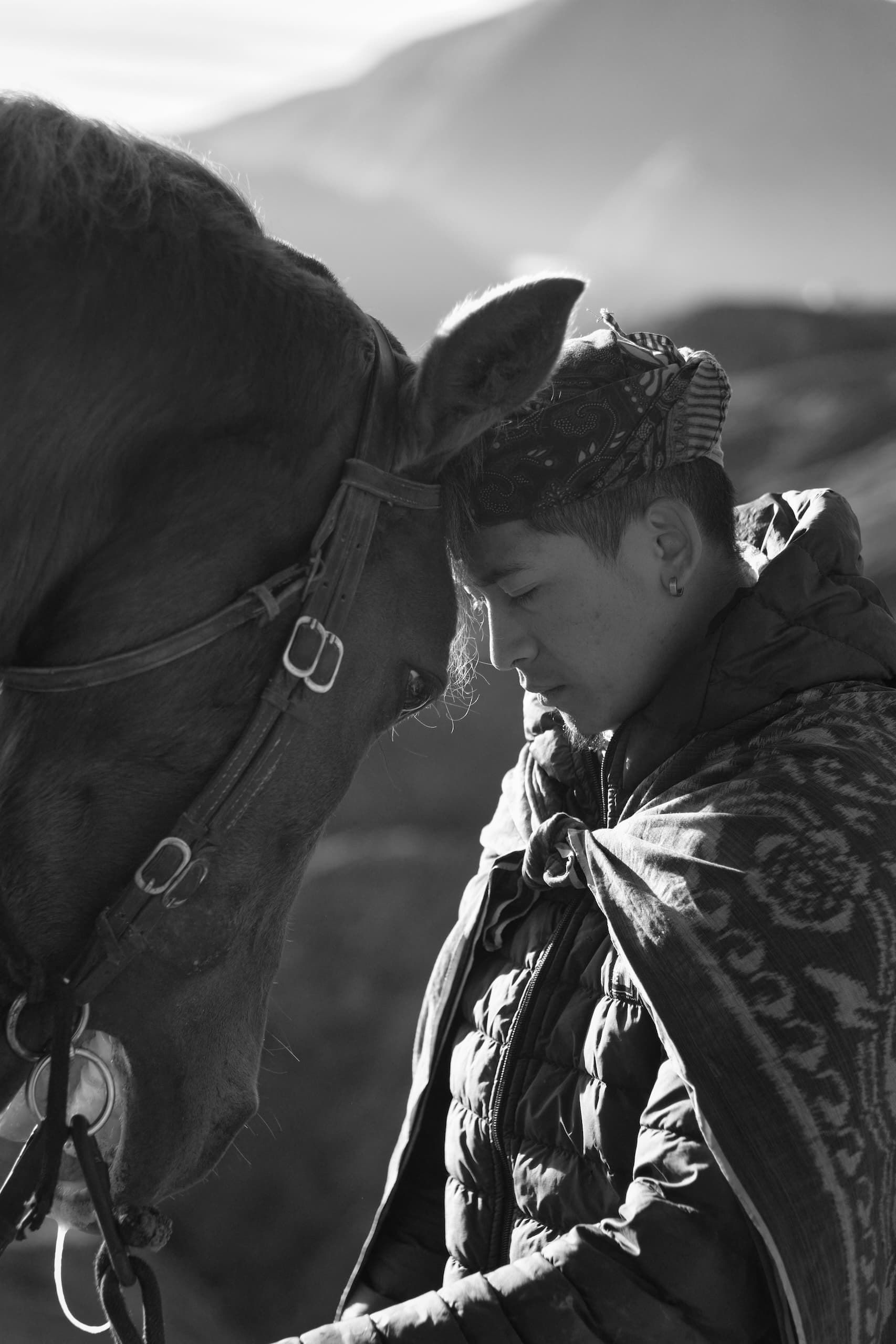 HEADHORSE