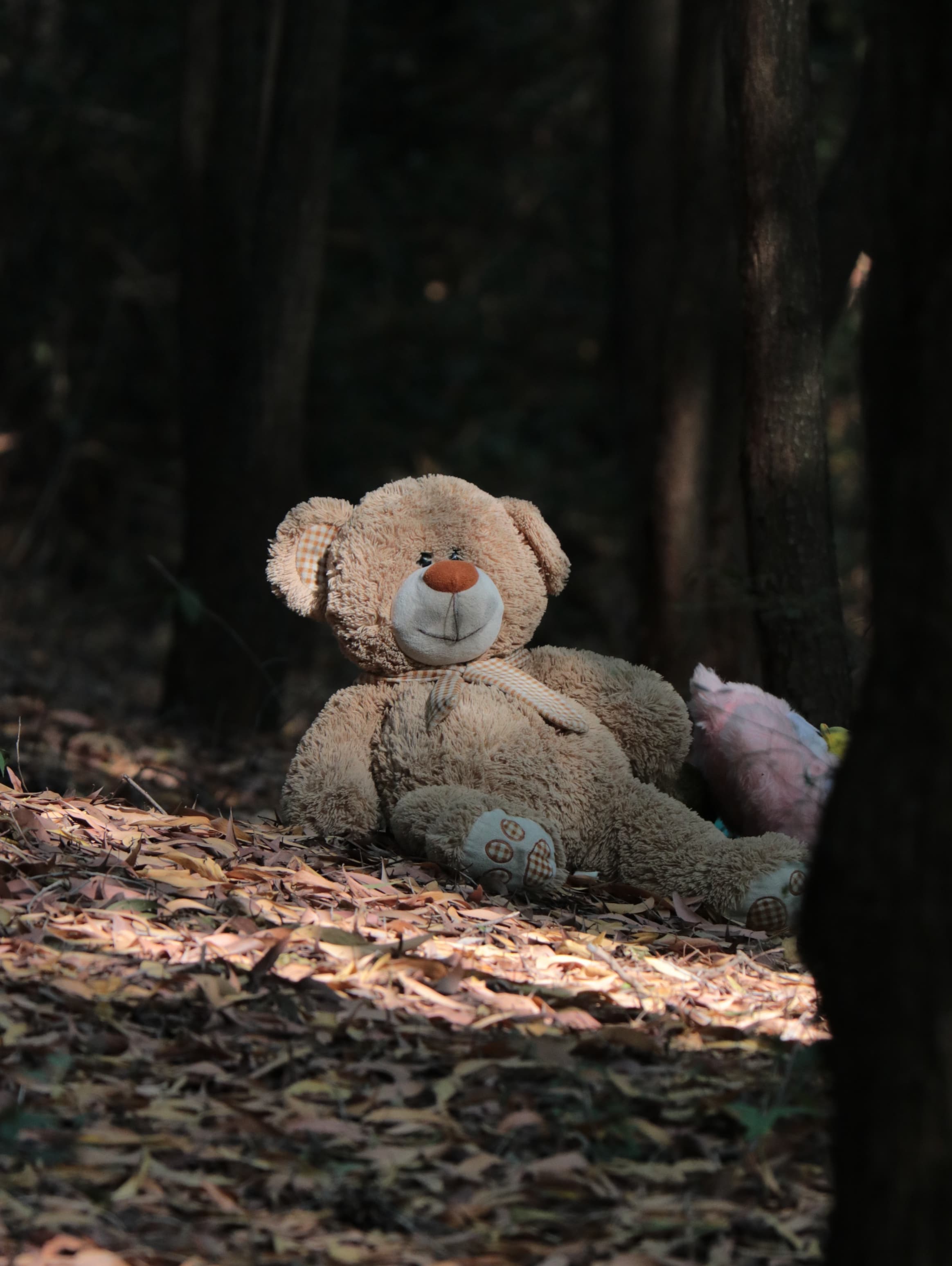 ABANDONED