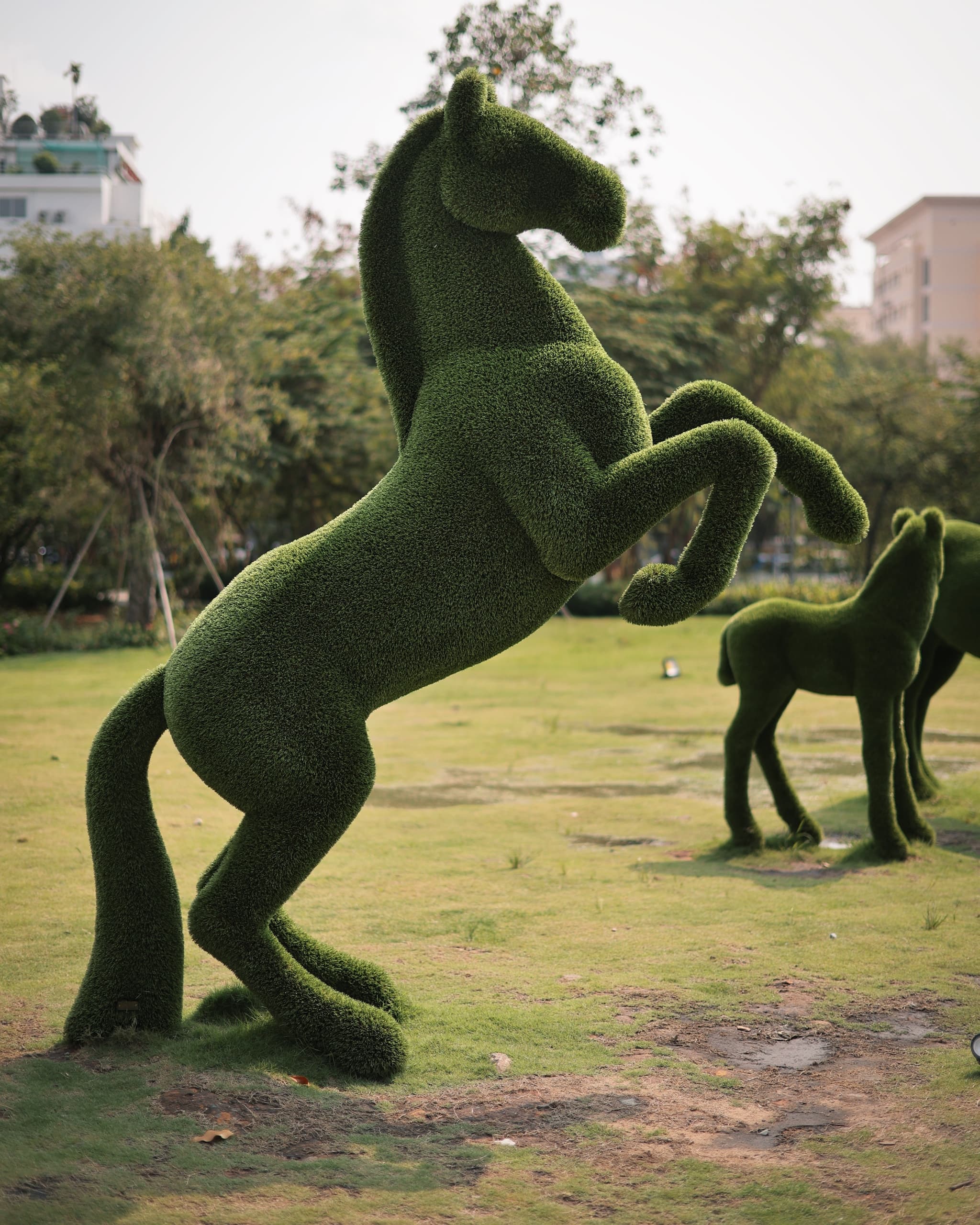 HORSE