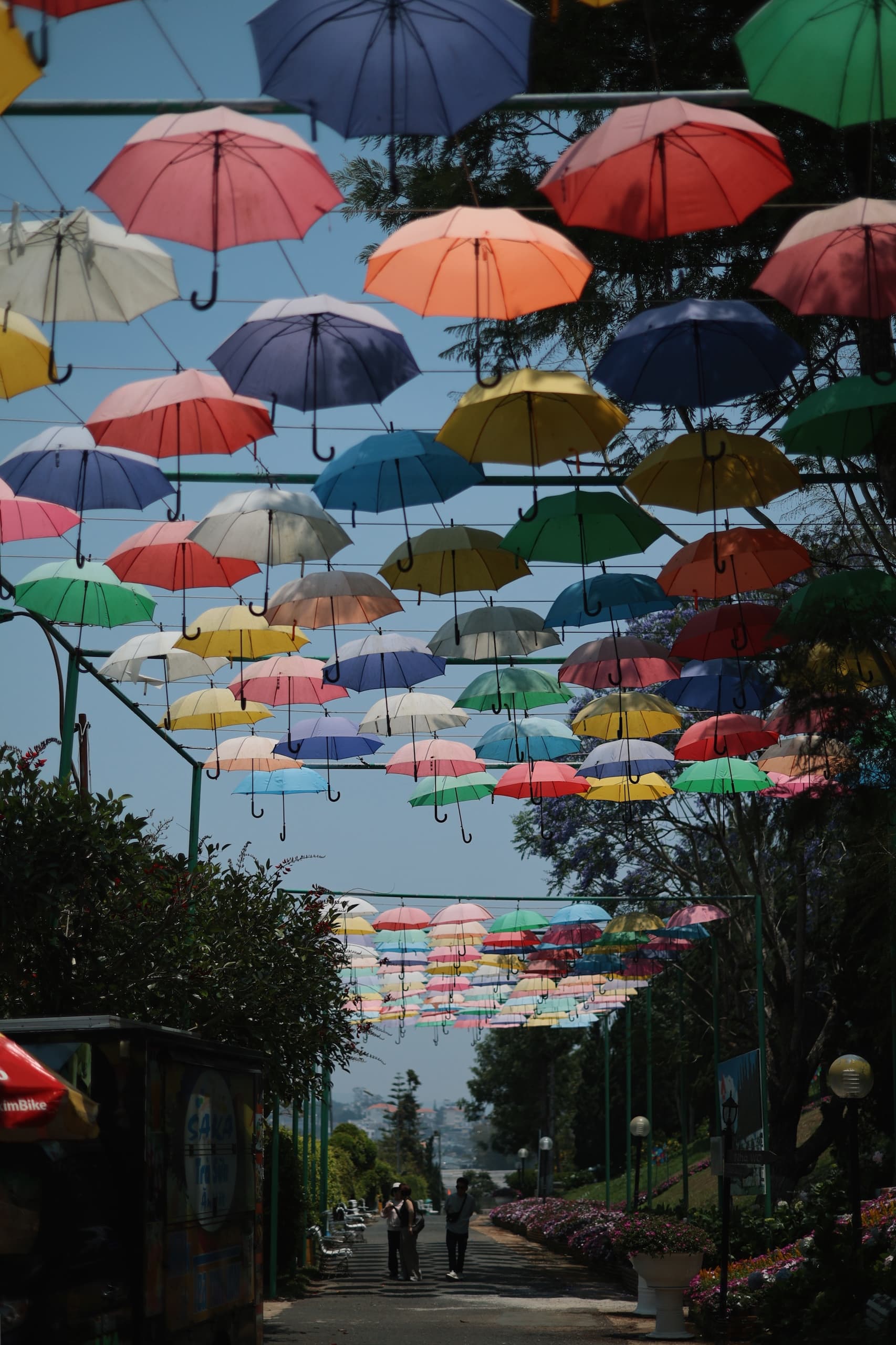 UMBRELLAS