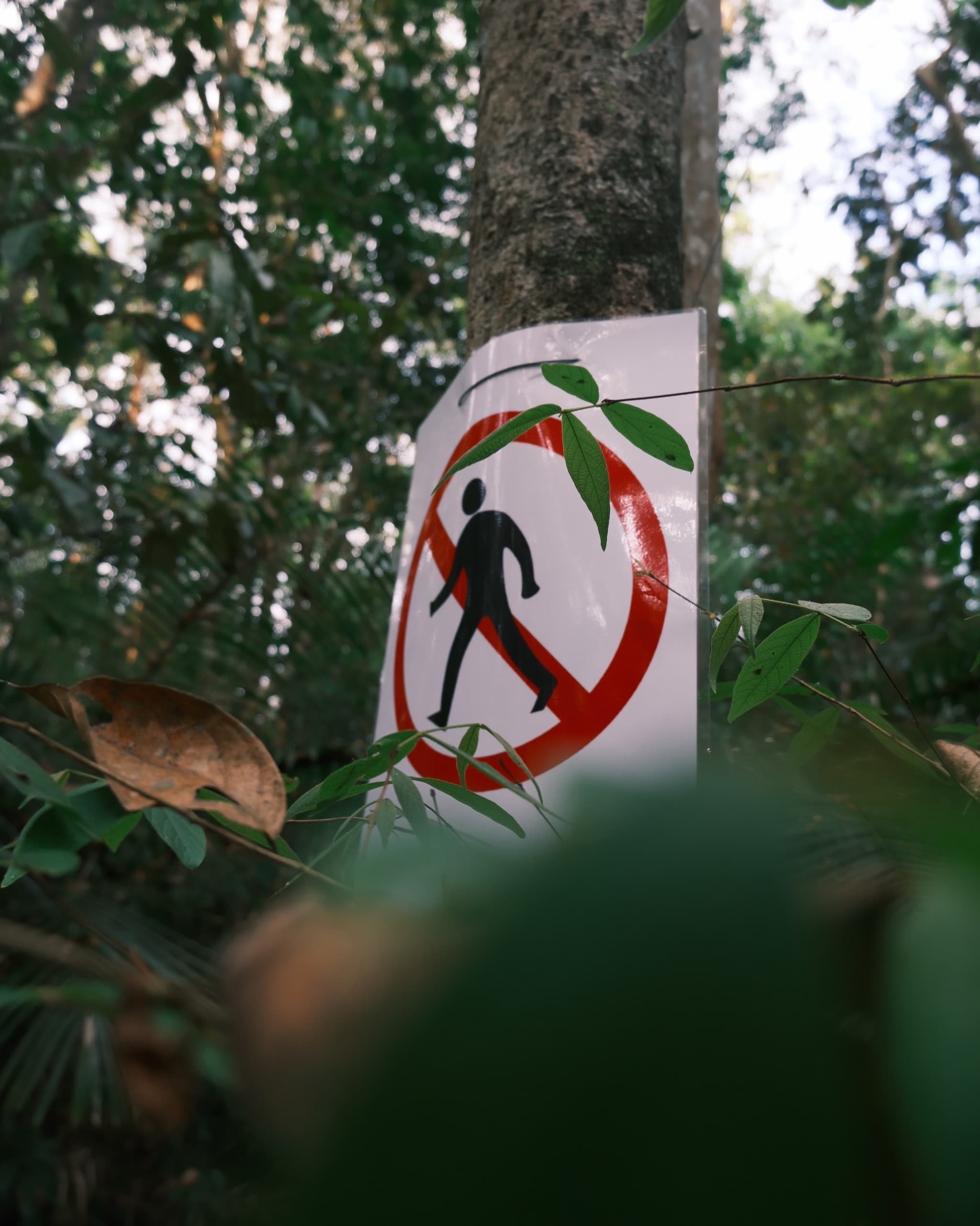 NO WALK