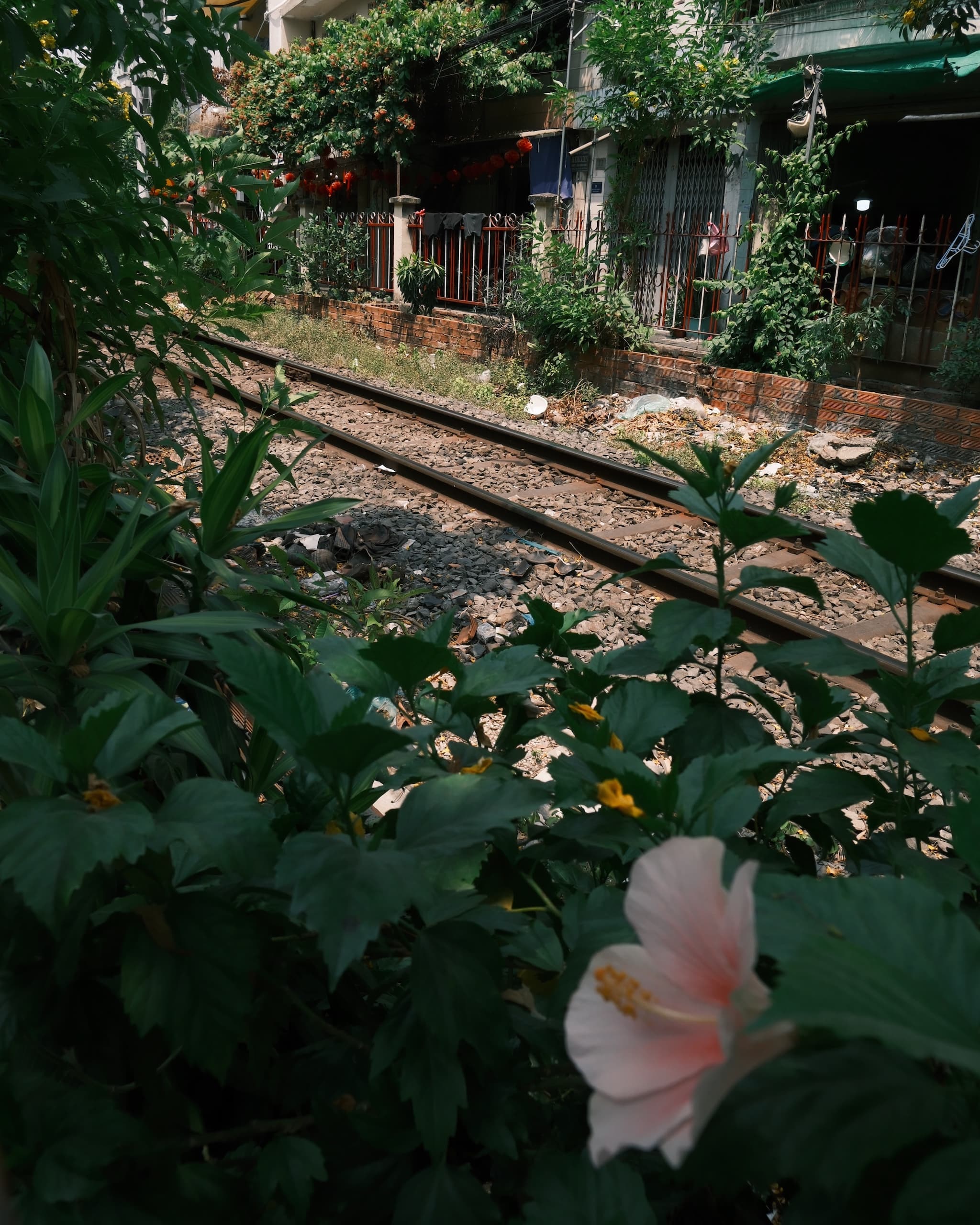 TRACKSIDE