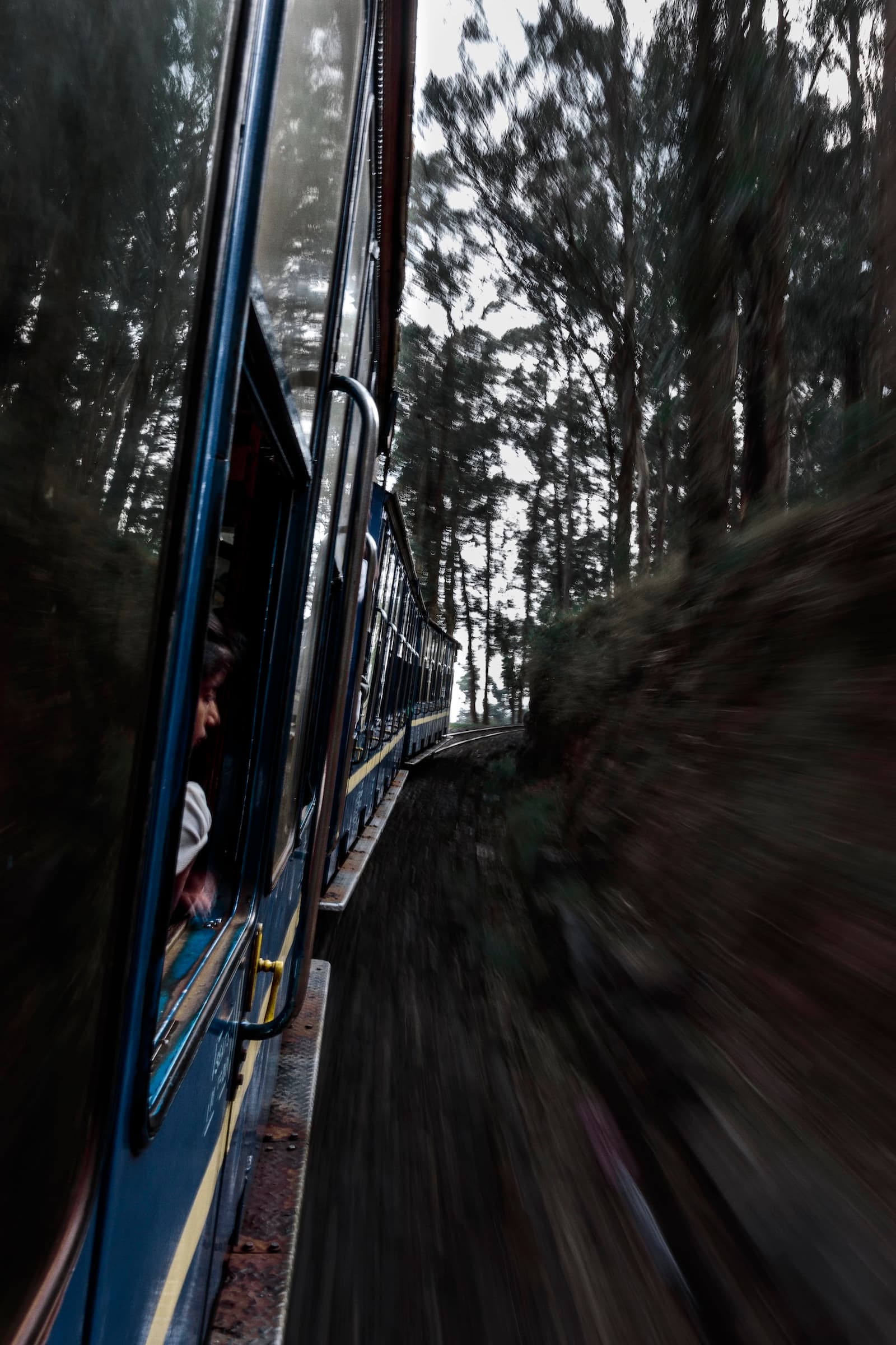 TRAIN