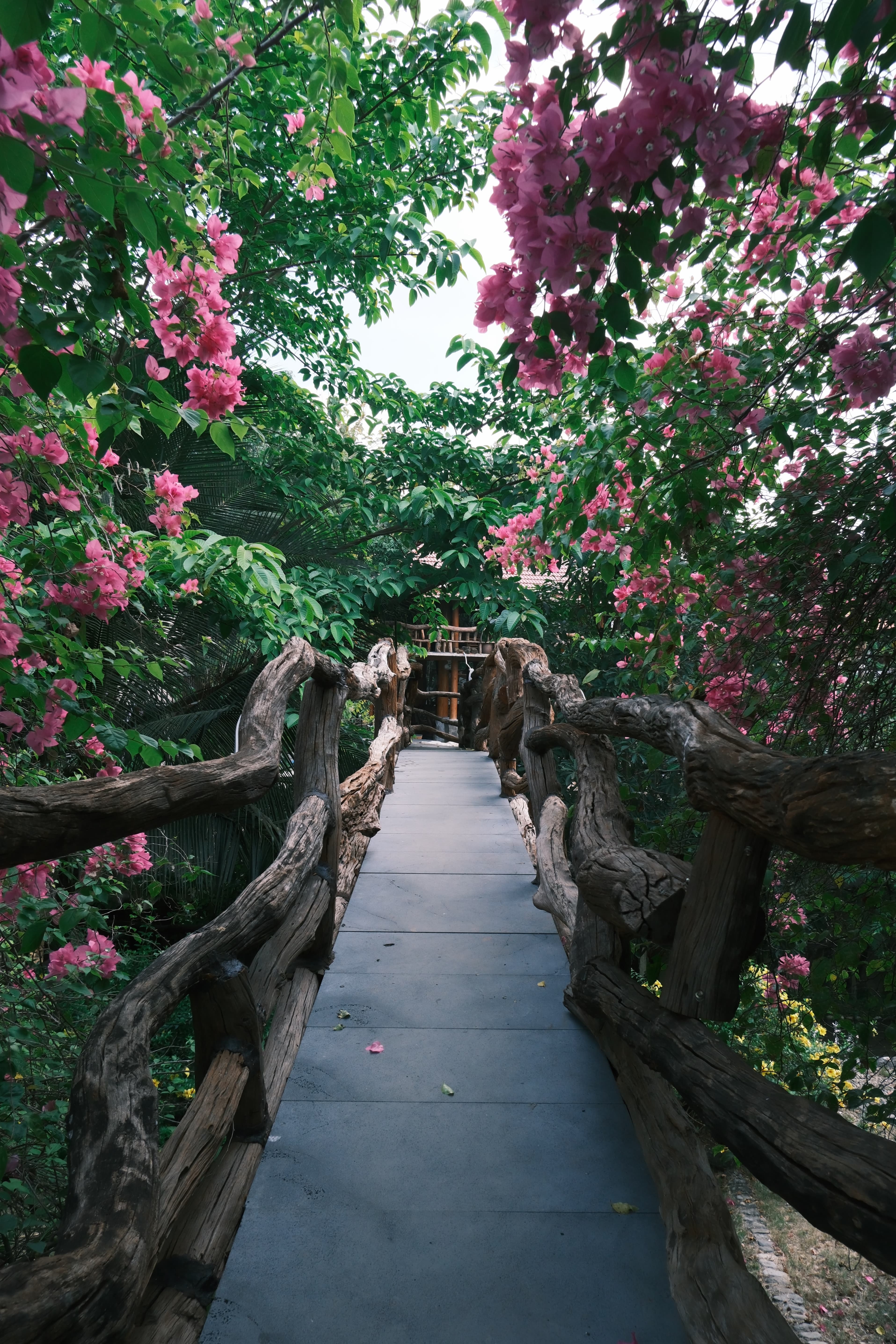 BRIDGE