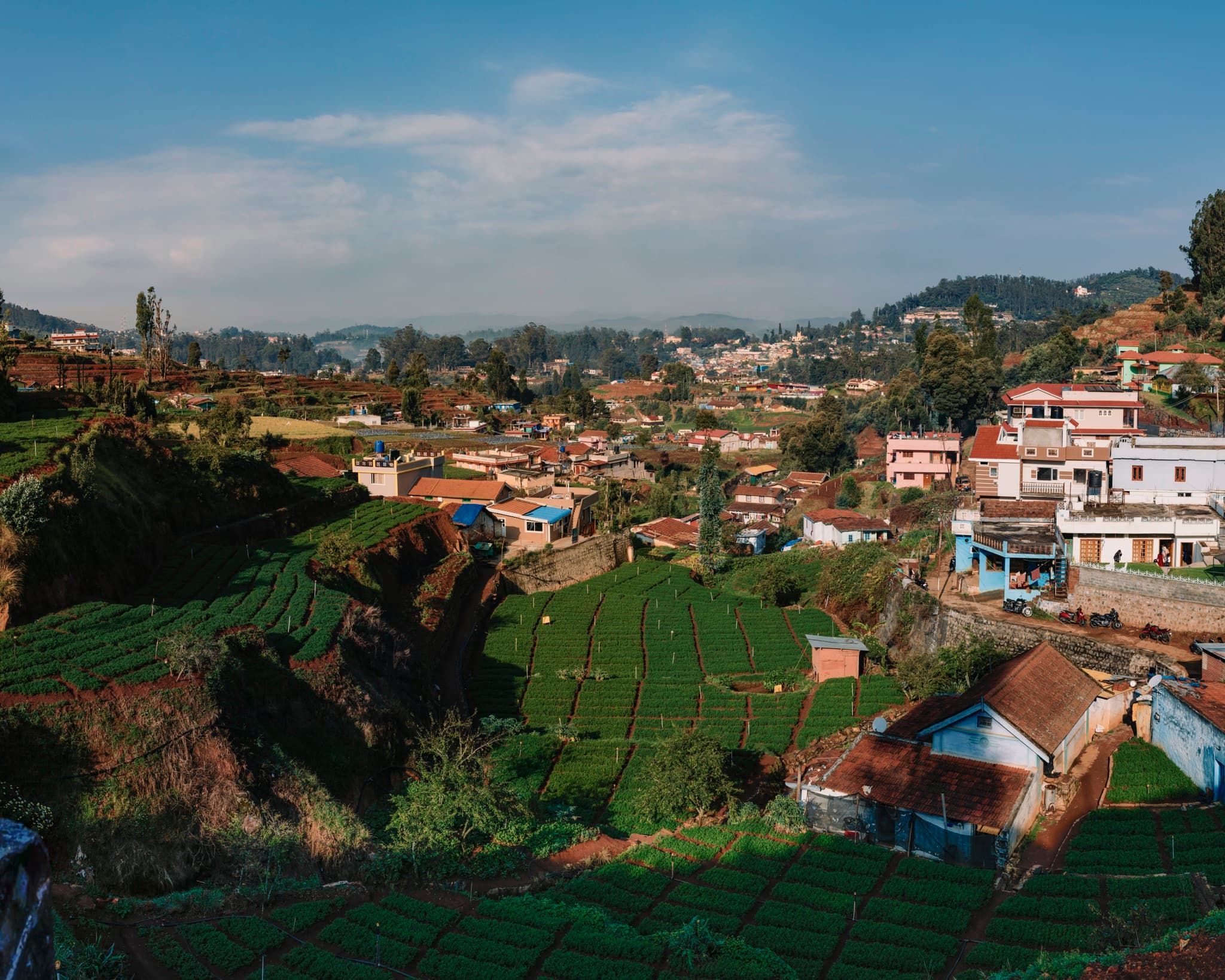 OOTY