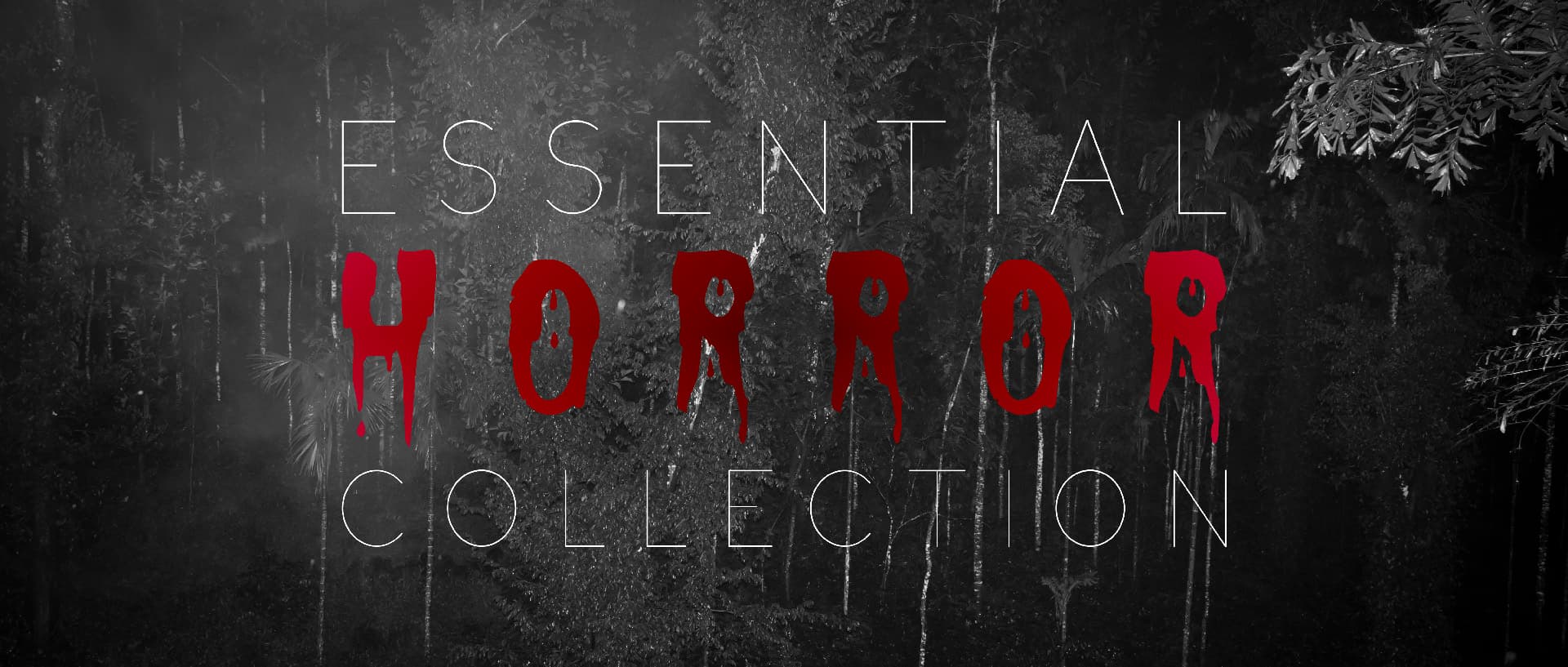 Essential Horror Movies