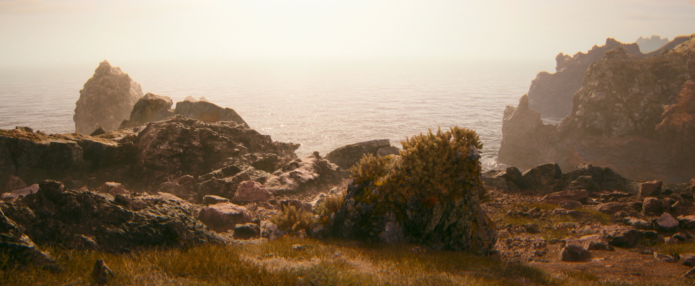 Ocean Ocean